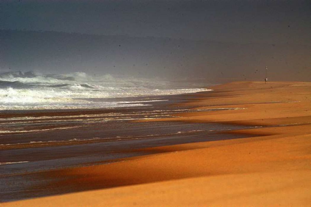 Nom de l'image : D1160036-01_(c)Norbert-JUNG — Description :